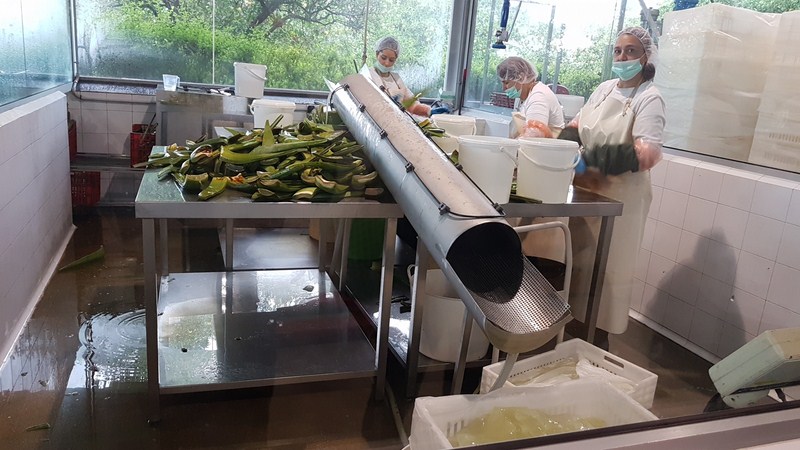 20181122 125525 [1600x1200]